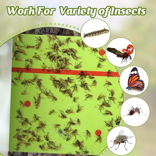 50 Rolls Spotted Lantern Fly Tree Tape Trap 30ft (Green)