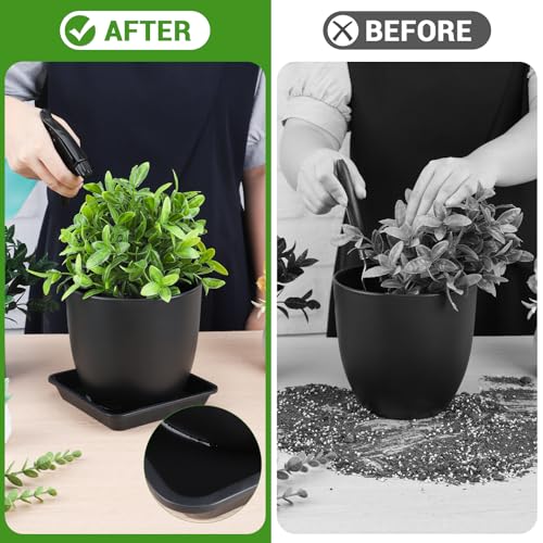 6 Packs Square Plant Saucer