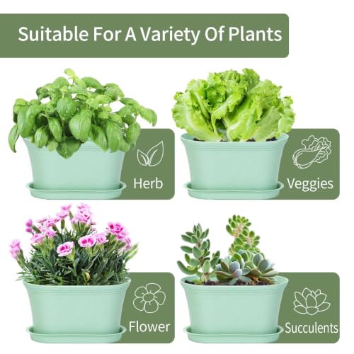 Set of 6 Windowsill Herb Garden Planters Green w (Green)