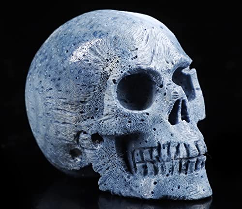 2.0" Blue Sponge Coral Crystal Skull (2.0" Blue Sponge Coral 7)
