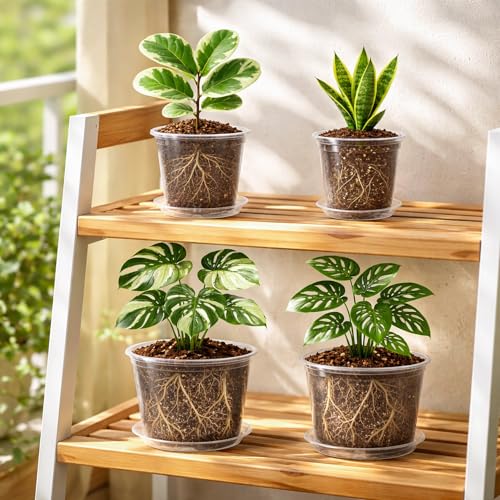 Clear Nursery Pots with Saucers (5/6/8/10 Inch-12Pcs)