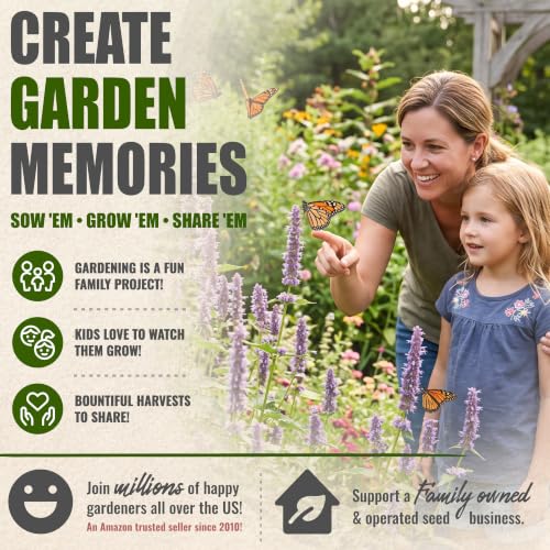 Anise Hyssop Seeds to Plant Perennial Heirloom Herbs 5 Packs (5 Packs)
