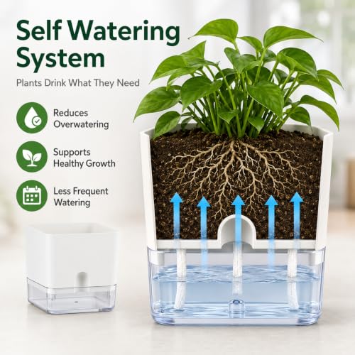 Self Watering Plant Pots for Indoor Plants 7 inch (8 Count)