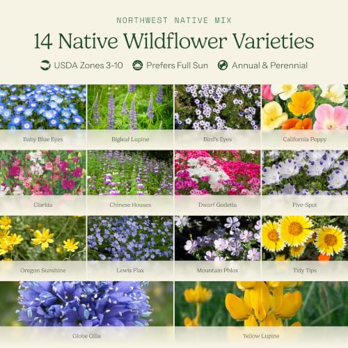 Native Pacific Northwest Wildflower Seed Mix (1/4 Pound / Native Northwest)
