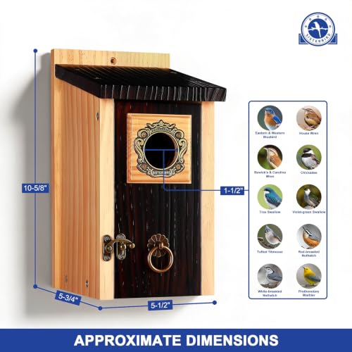 2 Pack Bluebird Houses for Outside (Deeply Burnt Vintage Hue -- 2PK)