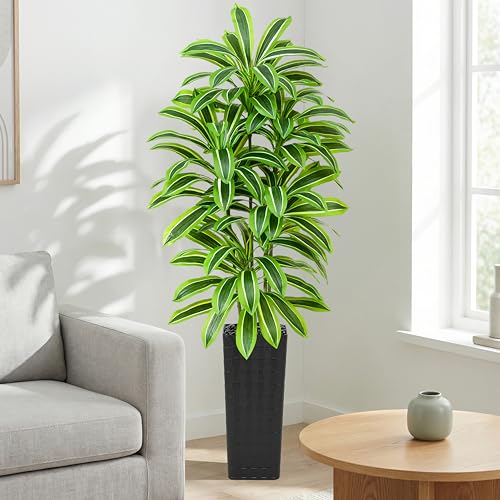 Artificial Dracaena Tree (Light Green – Black Pot / 7FT)