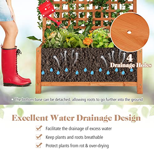 Planter with Trellis Set of 2 (2 Count)