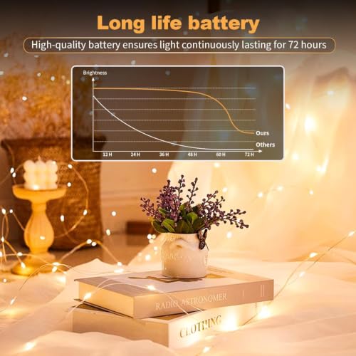 24 Pack Fairy Lights Battery Operated (2032-24 Pack-Warm White)