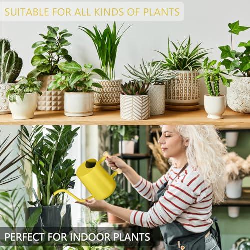 Watering Can Indoor Plants (Yellow)