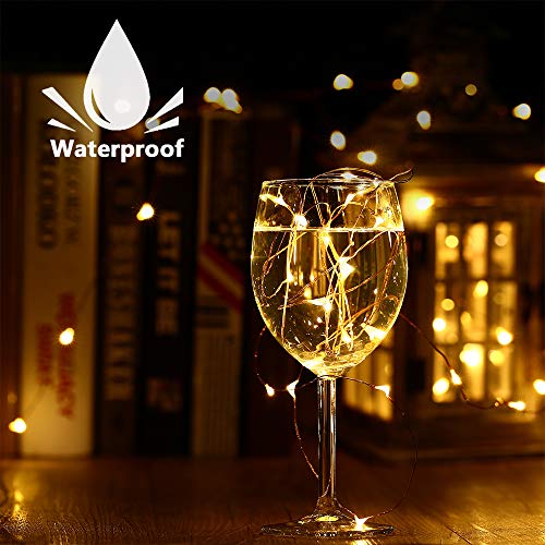 Solar Fairy Lights Outdoor (Warm White / 100 LED - 2 Pack)