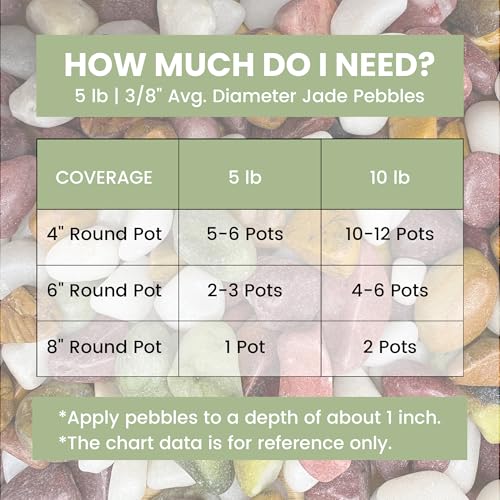5 LB Natural Gravel Pebbles (5 Pounds / Colorful)