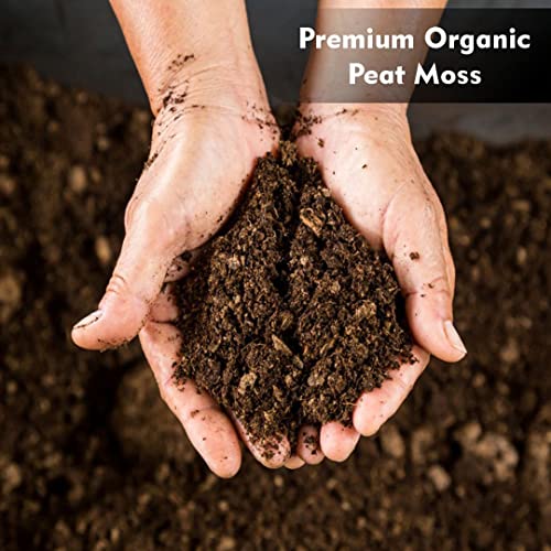 Organic Peat Moss (20 Quart)