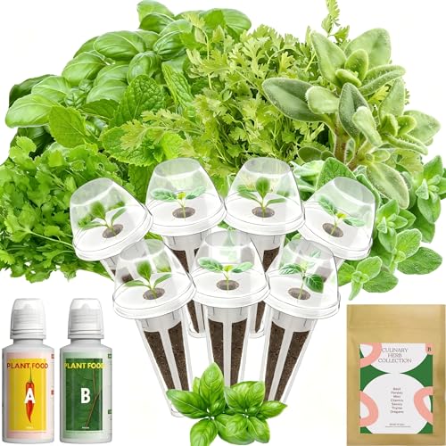 Hydroponics Herb Seed Pod Kit for AeroGarden (7Pods / Herb)