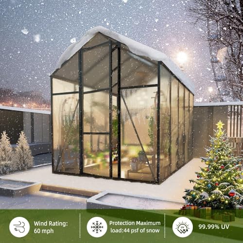 7.2FT High 6*10.2FT Greenhouse for Outdoors (6*10.2FT)
