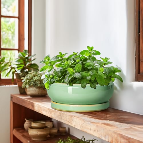 10 Inch Bonsai Tree Pots (10 Inch / Light Green)