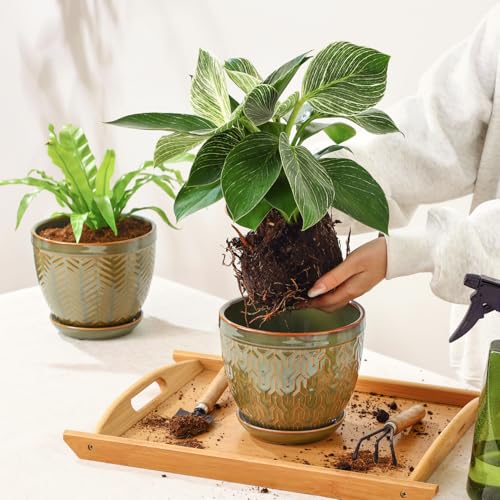 Sureasy 6.5 Inch Ceramic Plant Pots Set of 2 (Green / 6.5 inch)