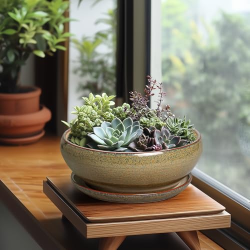 Succulent Pots (8 Inch / Speckled-brown)
