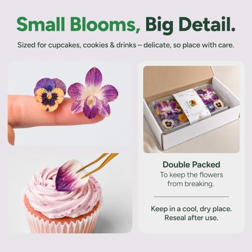 Small Pansy & Orchids Edible Flowers (12 Pieces)