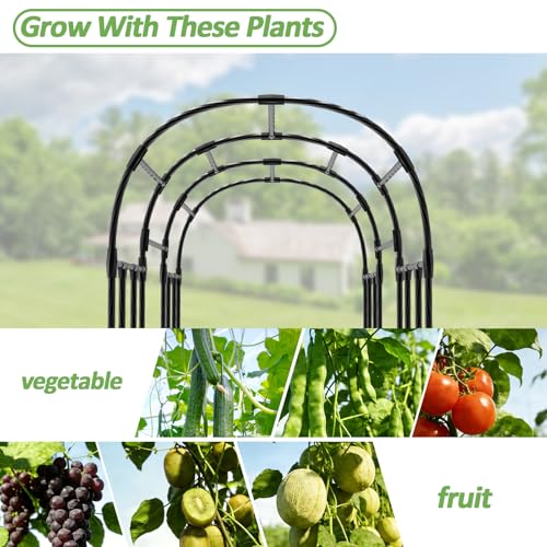 Garden Arch Trellis (47L*71W*87H inch)