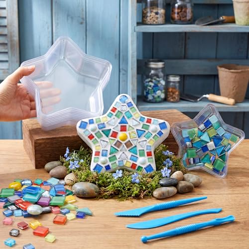24 Pcs Stepping Stone Mold DIY Craft Kit for Garden (Star / 10 Inch)