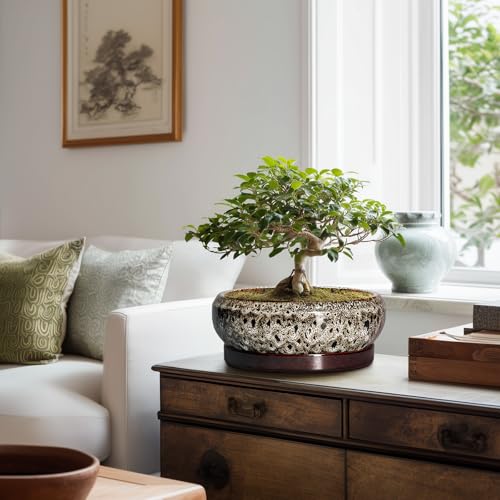 Succulent Pots 10 Inch (10 Inch / Leopard Brown-white)