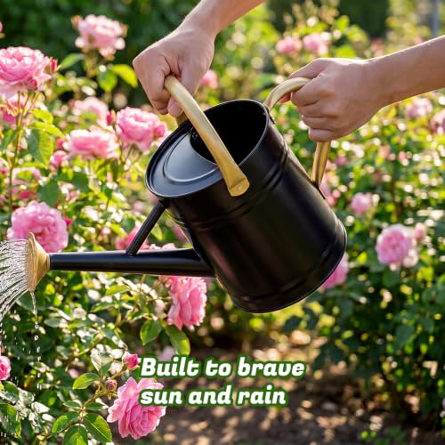 1 Gallon Watering Can for Plants (Black-gold)