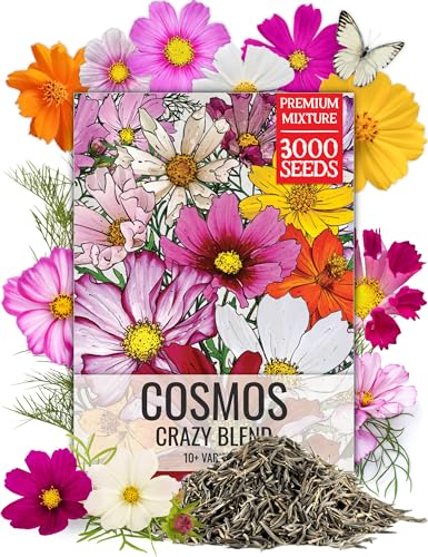 Flower Seeds Cosmos Original Crazy Blend 10+ Varieties Bulk Pack