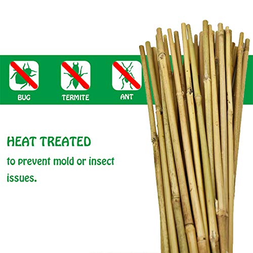 Natural Bamboo Stakes 57 Inch (20 Count)