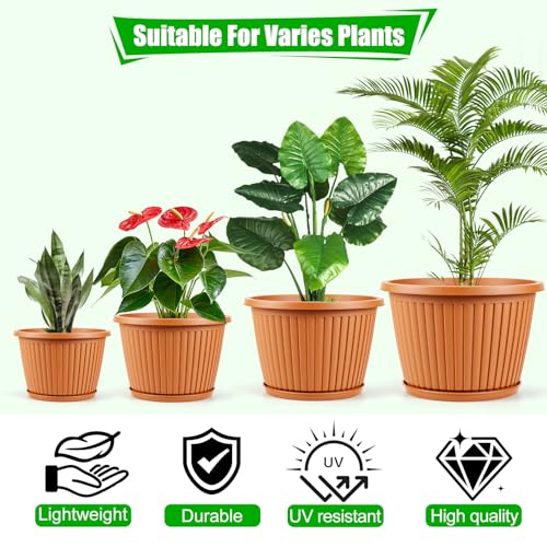 Large Planter (Terracotta / 12 Inch)