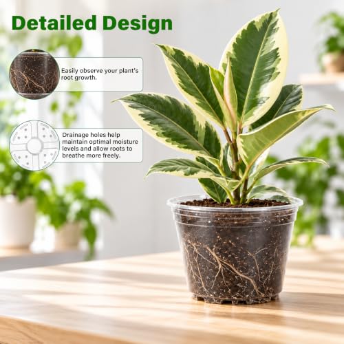 Clear Nursery Pots with Drainage Holes (6/8/9.5/12 Inch-20Pcs)