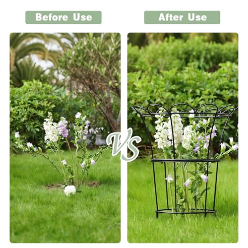 Heavy Duty Hydrangea Support (Black / 25.5"x20")