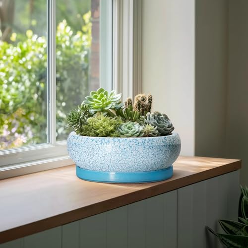Bonsai Pots 13 Inch Ceramic Succulent Pots with Drainage Hole and Tray (13 Inch / Blue-white)