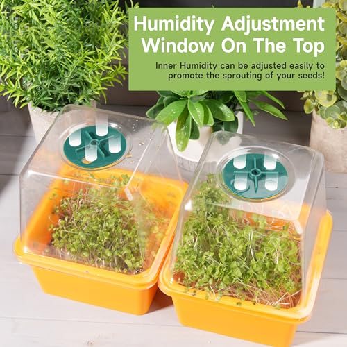 Microgreen Growing Trays (6 Pack-colorful Base)