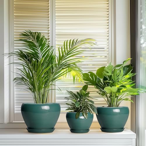 Ceramic Pots for Plants (10+8+6 Inch / Dark Green)