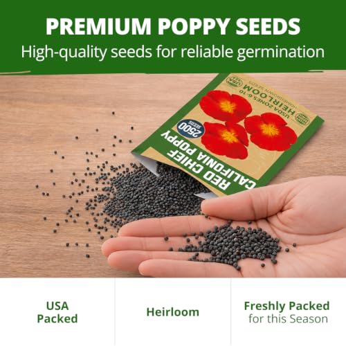 Red Chief California Poppy Seeds