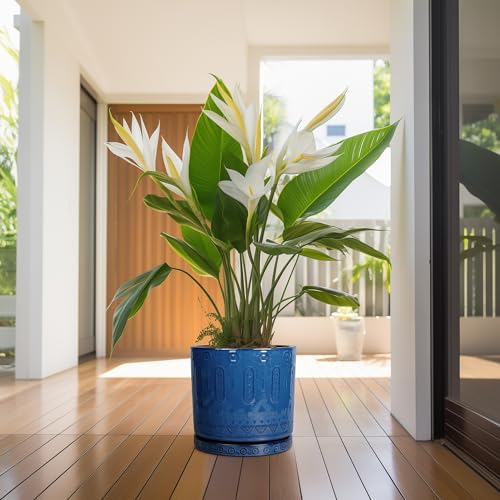 Plant Pot Saucer