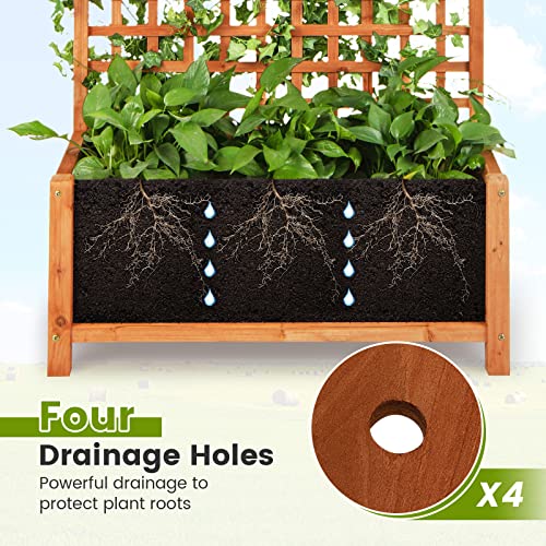 72.5" Raised Garden Bed with Trellis & Planter Box