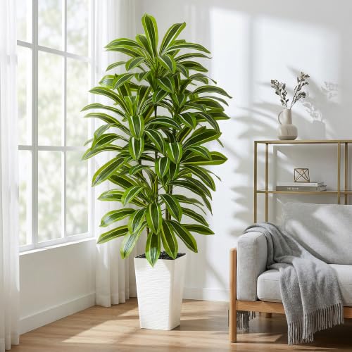 Artificial Dracaena Tree (Light Green – White Pot / 5FT)