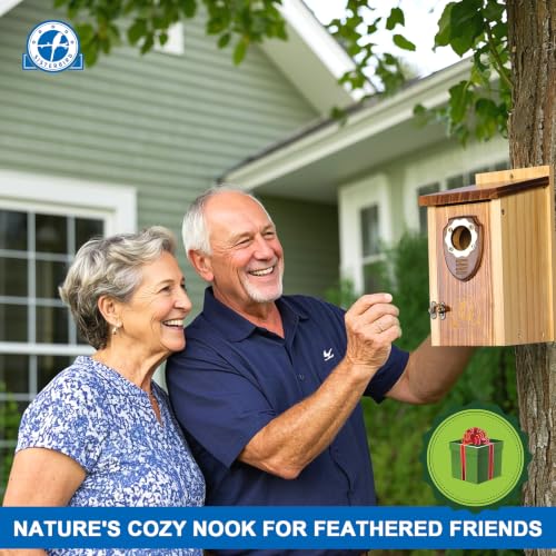 2 Pack Bird House (Medium-roast coffee color -- 2PK)