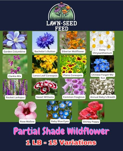 Partial Shade Wildflower Mix Seed (1 Pound)