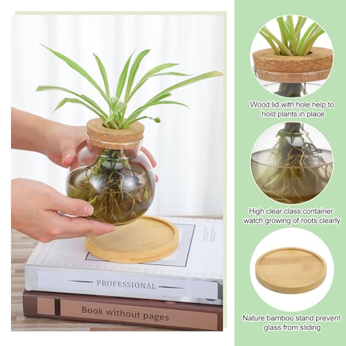 4 Pcs Plants Propagation Stations vases Glass Planters with Wooden Lid and Bamboo Stand for Hydroponic Plants Gardening Gifts for Women Mom Home Office Tabletop Decoration (Lovely Style)