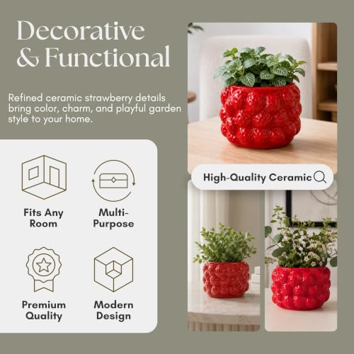 Fruit Inspired Planter for Indoor and Outdoor Display (Red / 5")