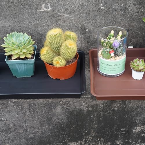 4 Pack Plant Growing Nursery 1020 Trays (4 Count)