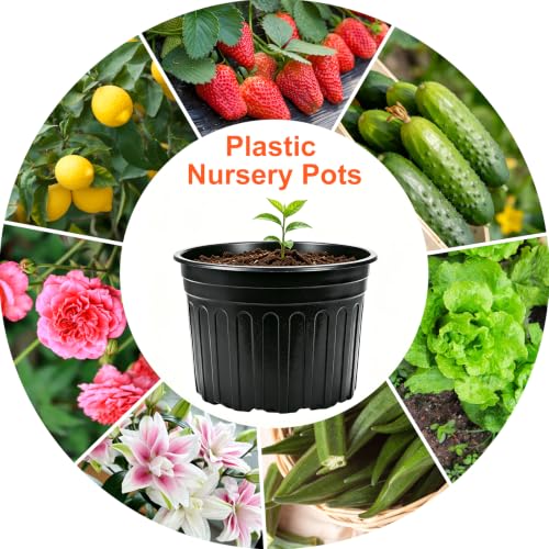 50 Pack 5 Gallon Black Flexible Flower Plant Nursery Pots (5 gallon / 50P)