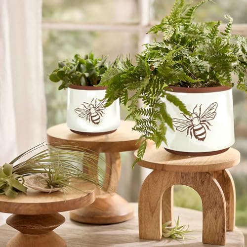 Terracotta Pots (6+4 Inch / White Bee)