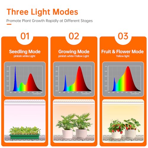 3 Tier Indoor Greenhouse with Grow Light (35.4" x 13.8" x 59.0")