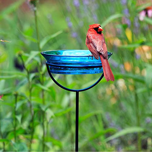 Cuban Garden Bird Bath & Feeder Stake (Aqua Blue)