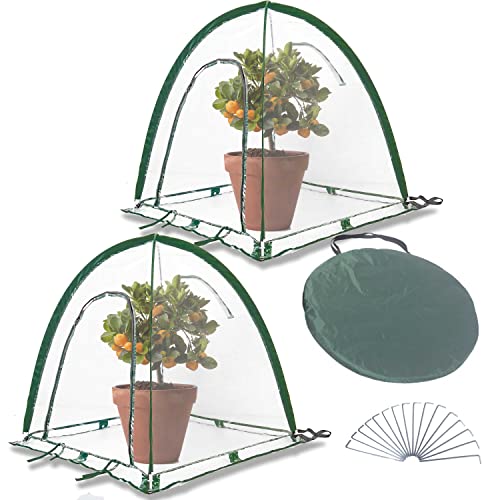 Pop Up Greenhouse Cover Flower House (36.2"L x 36.2"W x 39"H)
