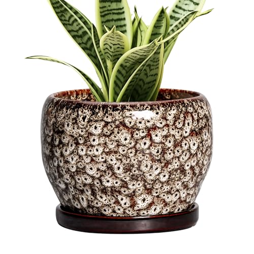 Ceramic Plant Pots