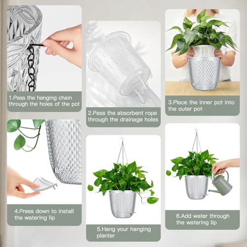 Hanging Planters for Indoor Plants (Clear / 5.7in)